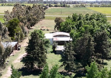casa quinta 6 hectareas sobre ruta 67 coronel suarez